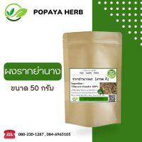 ย่านางผง 50 กรัม รากย่านางผง เกรดA Tiliacora triandra 100%