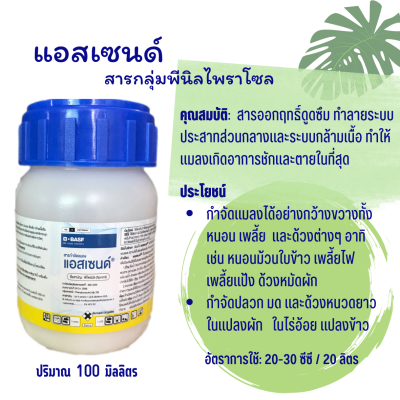 ยากำจัดแมลง เพลี้ยไฟ แอสเซนด์ (ฟิโพรนิล)100ml.  กำจัด มด  ปลวก หนอน