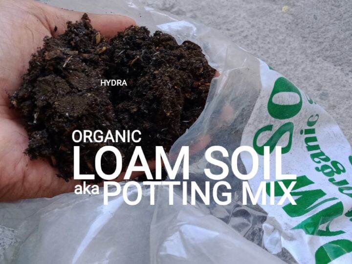 Loam Soil Organic (aka Complete Potting Mix and Ready to Use) Lazada PH