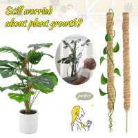 Coconut Poles Plant Cages Climbing Pole Moss Stick Coir Moss Palm Vines Stick Diy Reusable Plant Creepers Garden Courtyard Bar Wine Tools