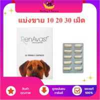 Renavast for Dog แบบแบ่งขาย อาหารเสริมโปรตีน บำรุงไต EXP 12/2025