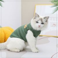 Pet Cat Clothes Bear Print Vest Puppy Kitten Crew Neck Sleeveless T-shirt  Spring Summer Casual Clothing for Small Medium Dogs