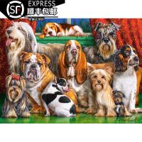 [จุด] Castorland Dog Club 3000 ชิ้นของเล่นจิ๊กซอว์นำเข้าจากยุโรป