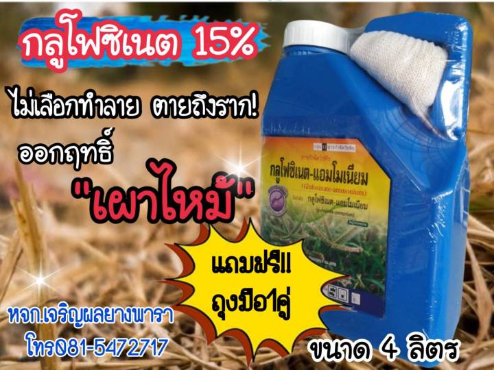 วัชพืช กลูโฟซิเนตแอมโมเนียม15 ขนาด 4 ลิตร สารกำจัดวัชพืชใบแคบ ใบกว้าง ตายเร็ว ตายนาน ไม่มีผลกะพืชประธาน ไม่ซึมราก