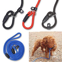 Pet Dog Adjustable Nylon Training Leash Lead Strap Rope Outdoor Traction Collar