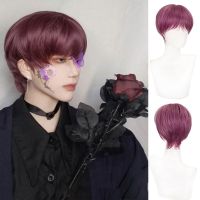 AOOSOO Men 39;s Synthetic Wig With Bangs Short Heat Resistant Wig Powder Purple Natural Straight Hair Cosplay Black and White C