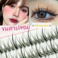 T.Z. ขนตาปลอม ขนตาปลอมแต่งหน้ามืออาชีพ 120 ช่อ ช่อคนตาเทรนสาวเวียดนาม  Little devil false eyelashes