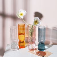 Nordic Glass Vase Small Glass Vases Flower Arrangement Home Decoration Accessories Modern Living Room Glass Ornament