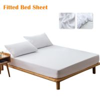 Pure Color Terry Towelling Fitted Bed Sheet Watertight Bed Protective Cover Twin/Full/Queen/King Cotton Soft Fitted Bed Sheet