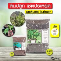 ✨HOT สุด ชุดดินปลูกประหยัด ตั้งแต่เพาะต้นอ่อน-ทำใบ-ทำดอก 420 planting soil ฟรีเมล็ดพันธุ์ Wow สุด