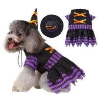 ZZOOI Halloween Funny Pet Cat Clothes Dog Clothing Witch Costume Dogs Cosplay Costume Set with Hat Dressing Up Cat Party Costume