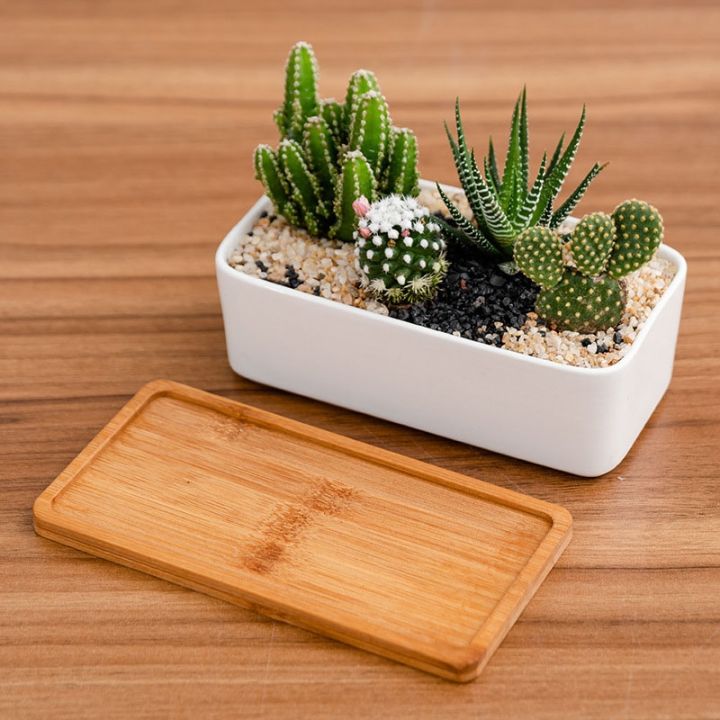 creative-round-rectangular-flower-pot-home-decoration-green-plants-bonsai-white-porcelain-planter-succulent-flowerpots-ornament