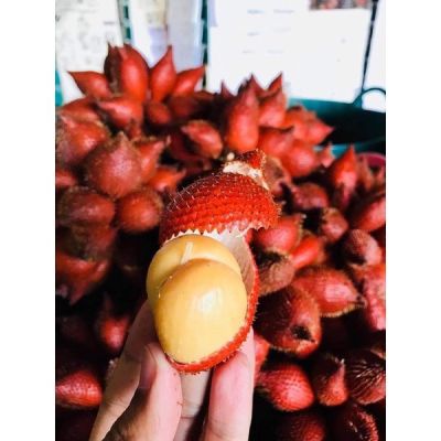สละสุมาลี✨ (3 กิโล) อร่อย หวานชื่นใจ💦 ส่งตรงจากสวนจันทบุรี