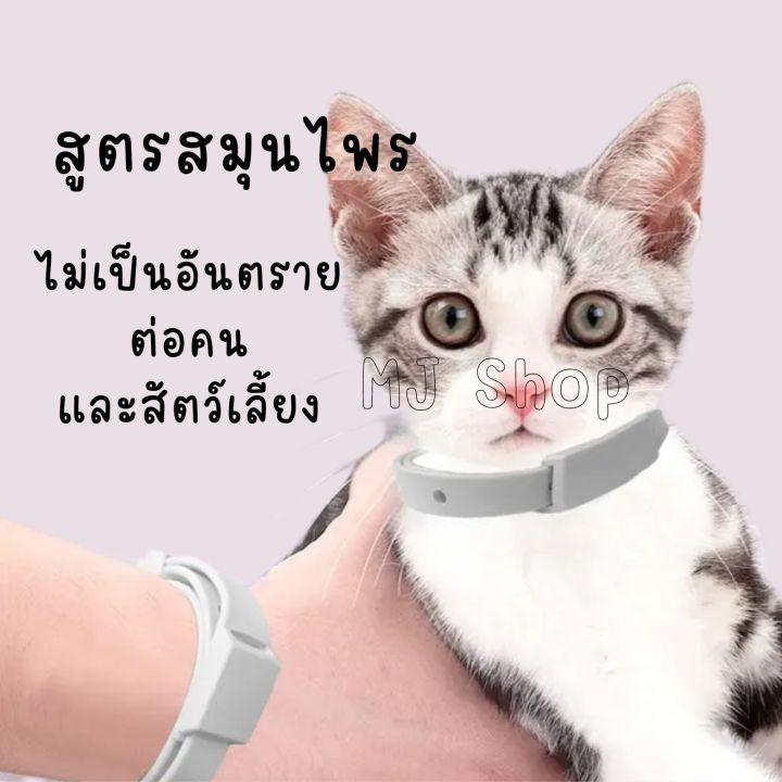 ปลอกคอป้องกันเห็บ-หมัด-ไร-ยุง-สัตว์เลี้ยง-น้องหมาน้องแมว