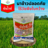 ซันไรซ์ 100 กรัม