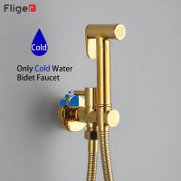 Fliger Brass Toilet Bidet Faucet Handheld Bidet Sprayer Gold Bidet Faucet Single Cold Water Portable Shower Head Hygienic Shower