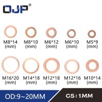 【hot】 20Pcs DIN7603 M5 M12 M14 M16 O Gasket Washer Boat Flat Fitting