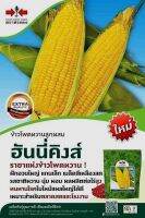 ข้าวโพดฮันนี่คิงส์ ขนาด 1 กิโลกรัม ฝักอวบใหญ่ เมล็ดเรียงสวย สีเหลืองสด