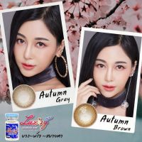 ?สายธรรมชาติ?Autumn Luxzylens คอนแทคเลนส์เกาหลี คอนแทคเลนส์ บิ๊กอาย bigeyes contactlens คอนแทคสายตา คอนแทค