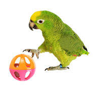 10ชิ้นเซ็ต Parrot ของเล่นที่มีสีสัน Hollow Rolling Bell Ball BIRD ของเล่น parakeet atiel Parrot Chew CAGE ของเล่นสนุก BIRD อุปกรณ์