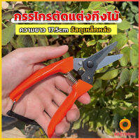 Cozy กรรไกรแต่งกิ่งไม้ เหล็กคาร์บอน สำหรับใช้ในสวน ด้ามกระชับมือ garden shears