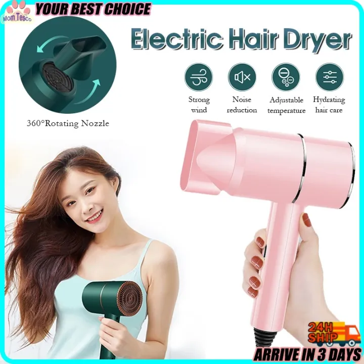 Hair Dryer Blower Portable Anion Hair Dryer Blue Light Hair Care Hair ...