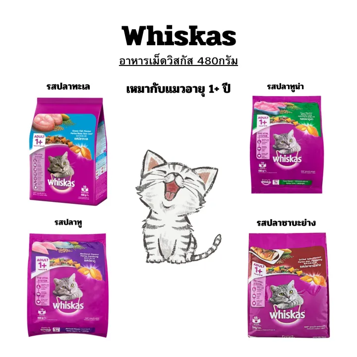 whiskas วิสกัส อาหารแมวแบบเม็ด สำหรับแทวทุกสายพันธุ์ ขนาด 480 กรัม