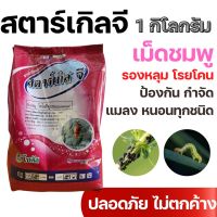 ❤1kg สตาร์เกิลจี (Starkle G) สตาเกิลจี สตาร์เกิล จี สตาเกิล จี สารกำจัดแมลงชนิดดูดซึมเข้าทางระบบราก 1กิโลกรัม❄