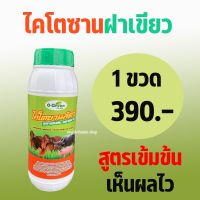 O-Green โอ-กรีน ไคโตซานสัตว์ ไคโตซานฝาเขียว สูตรเข้มข้น เร่งผลผลิต ลดต้นทุน เพิ่มประสิทธิภาพ ทวีคูณ 1 ขวด