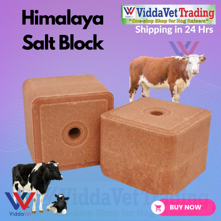 1pc Natural Himalayan Salt Lick for Livestock Mineral Block for