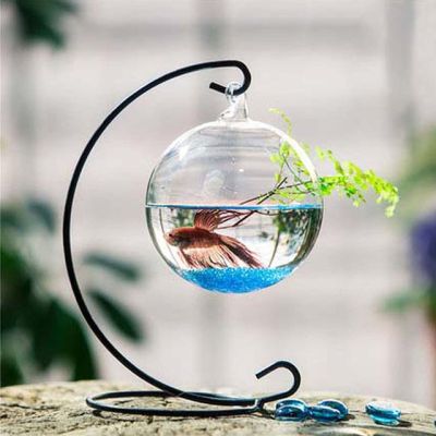 ที่ใส่กระจกสำหรับแขวนโต๊ะปลาขนาดเล็กปลาสวยงามชั้นวางชามที่จับอุปกรณ์สำหรับตู้ปลาดอกไม้1