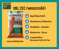 เมล็ดพันธู์ข้าวโพดMK 797 นครสวรรค์3  เมล็ดพันธุ์ราคาถูก  ฝักใหญ่ น้ำหนักดี ผลผลิตสูง