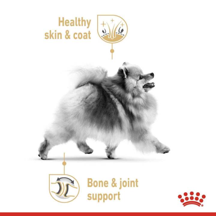 petclub-royal-canin-pomeranian-adult-pouch-อาหารเปียกสุนัข-พันธุ์ปอมเมอร์เรเนียน-85g-x12ซอง