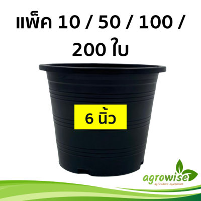 กระถาง กะถางต้นไม้ กระถางต้นไม้สวยๆ 200 ชิ้น 50 ชิ้น 100 ชิ้น กระถางดำ 10 ชิ้น 6 นิ้ว สีดำ