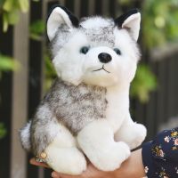 【CW】❁❏◙  Kawaii Stuffed 10/20cm Dog Kids Baby Dolls