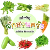 [ติดตามรับโค้ด10%] เมล็ดผักรวม เมล็ดผักสวนครัว เมล็ดผักแบ่งขาย เมล็ดใหม่อัตรางอกสูง ราคาถูก