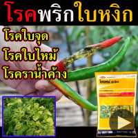 ?สูตรเข้มข้น? สารป้องกันกำจัดไร 100 กรัม ไรแดง ไรขาว พริก ไรกระเทียม ไรสนิมส้ม ไรกํามะหยี่ ไรกาบใบกล้วยไม้ ไรสี่ขา