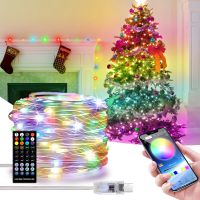 ZZOOI Fairy Lights  Bluetooth USB Led String Lights 5V RGBIC Dream Color Chain Light Patio Garden Garland Christmas Wedding Decoration