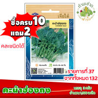 (ซื้อ10แถม2) เมล็ดพันธุ์ คะน้าฮ่องกง Chinese kale ประมาณ 1,100เมล็ด เจียไต๋ เมล็ดพันธุ์พืช เมล็ดพันธุ์ผัก เมล็ดผัก เม็ดผัก ผักสวนครัว พืชผัก ปลูกผัก