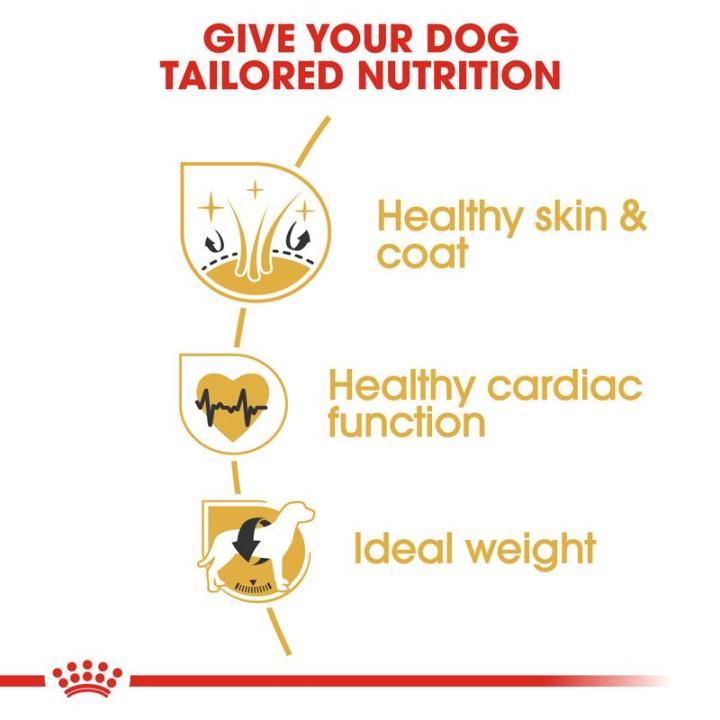 royal-canin-golden-retriever-adult-โรยัล-คานิน-อาหารเม็ดสุนัขโต-พันธุ์โกลเด้น-รีทรีฟเวอร์-อายุ-15-เดือนขึ้นไป-12kg-dry-dog-food