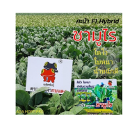 เมล็ดพันธุ์ คะน้า ซามูไร 1 กก. คะน้าลูกผสม F1 ไฮบริจ คะน้า ตรา กบดำกบแดง  Chinese Kale F-1 Hybrid AGA Horti Pro