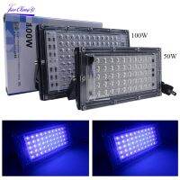 50W 100W UV Flood Light 110V 220V UV Glue Curing Purple Lamp Ultraviolet LED Black Lights Blacklight Fixtures Glow In The Dark Rechargeable Flashlight