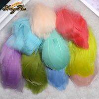 Pcs / Lot 5-10 Cm Small Floating Feather Colourful for Wedding Clothing Decoration Diy Feathers