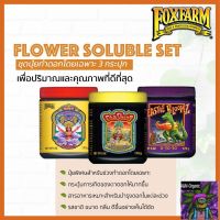 [สินค้าใหม่]Fox Farm Special Flower Soluble Set เซ็ทปุ๋ยชนิดผง 3 ขวด สำหรับช่วงทำดอก ปุ๋ยนอก ปุ๋ยนำเข้า ปุ๋ยเมกา ปุ๋ยUSA