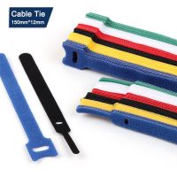 10/30/50/100PCS Releasable Cable Ties Colored Plastics Reusable Cable ties Nylon Loop Wrap Zip Bundle Ties T-type Cable Tie Wire Cable Management