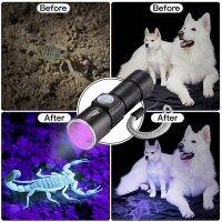 395Nm UV Light Flashlight Blacklight USB Rechargeable LED Flashlight Waterproof Inspection Pet Urine Torch Lamp