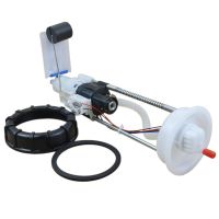 Electronic Fuel Pump Assembly Fuel Pump Assembly for Polaris Ranger 800 2011-2012 2204945 2204852 22044402