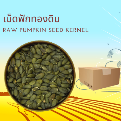 เมล็ดฟักทองดิบแกะเปลือก 500 กรัม Raw Pumplin Seed Kernel 500 g
