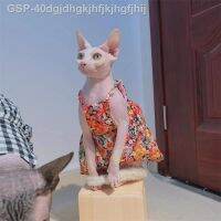 ♕Cut ใหม่กระโปรงแมวไม่มีขนคลาสสิก Sphynx วินเทจหวานสำหรับฤดูใบไม้ผลิ