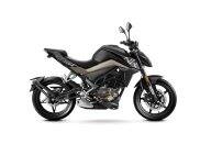 Xe Motor Phân Khối Lớn CFMOTO 300NK